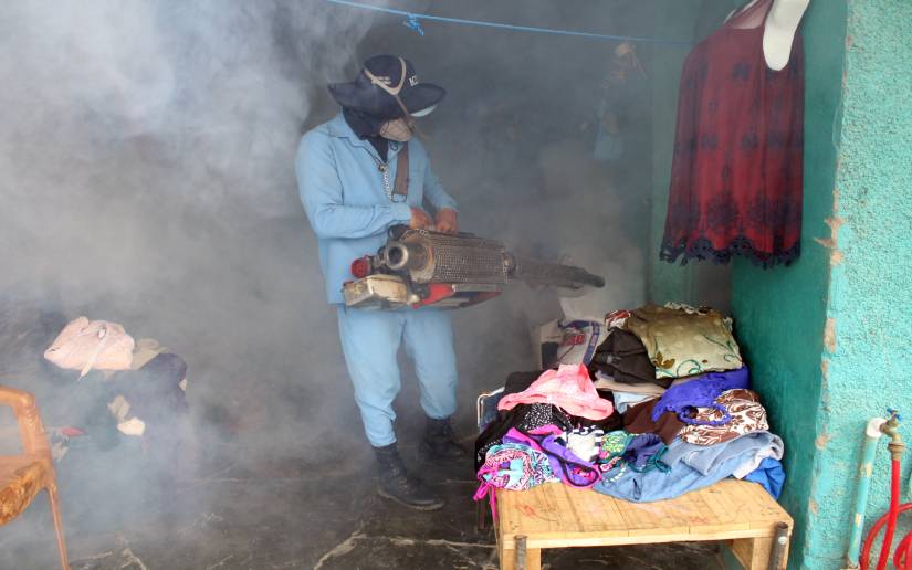 FUMIGACION